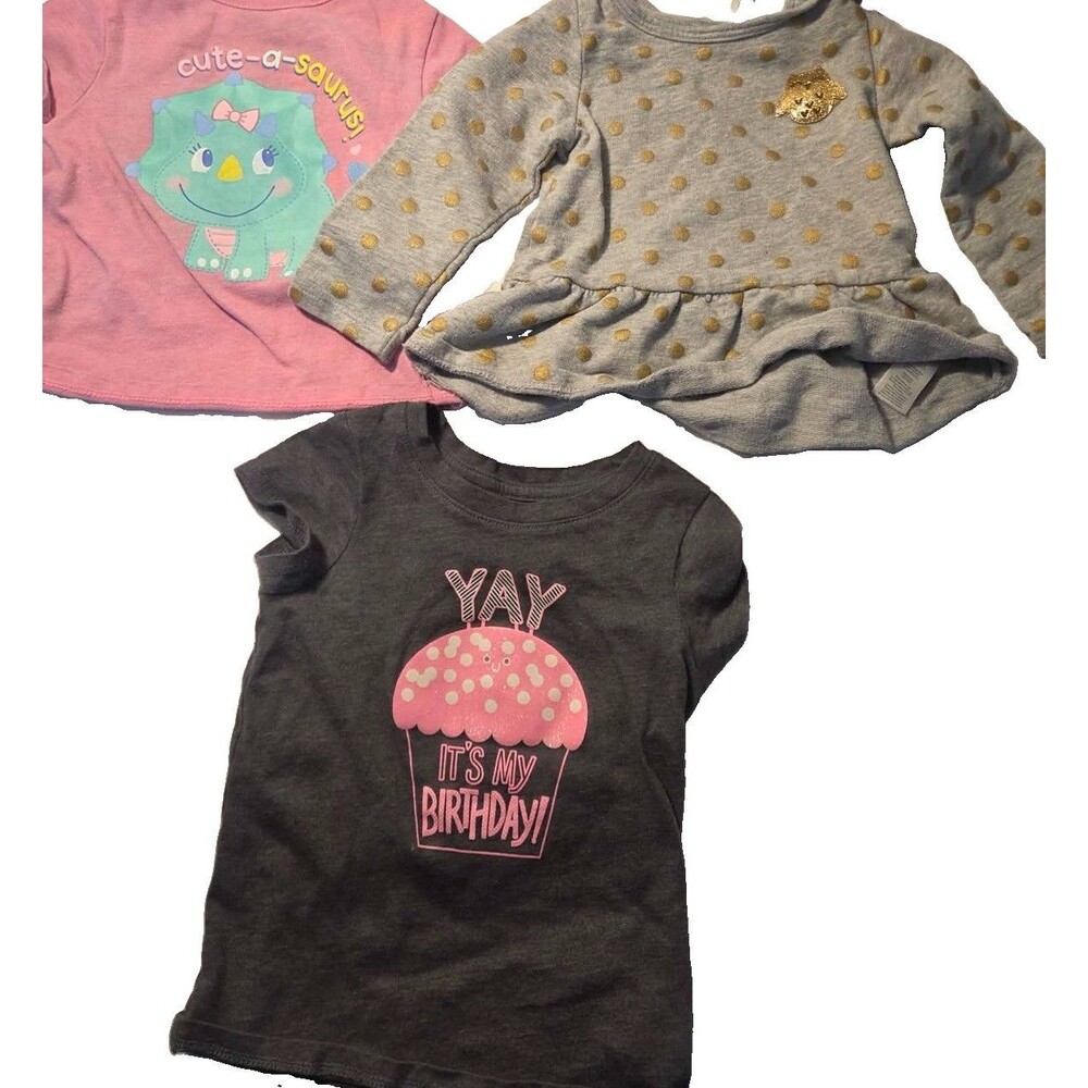 18 Month Girls Lot Of 3 Including Carters